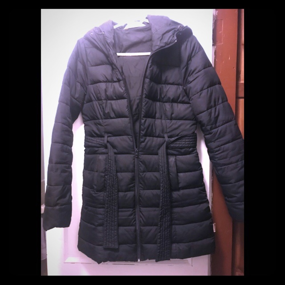 Hollister Winter Coat